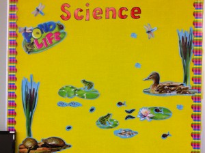 Students added Wetlands creatures to our board as part of our Scavenger Hunt today!