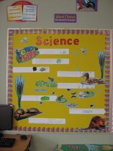 Our new Science Board!