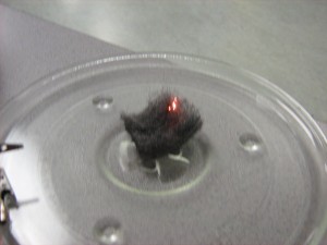 Our steel wool experiment. 