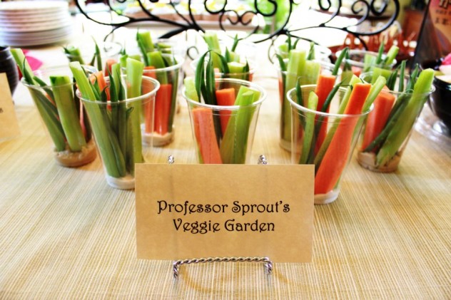 Professor Sprouts Veggie Garden